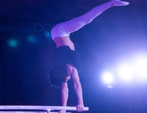 Ginnastica in scena